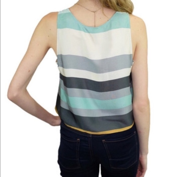RELISHED Striped Satin Crop Top LAST ONE - Picture 2 of 4